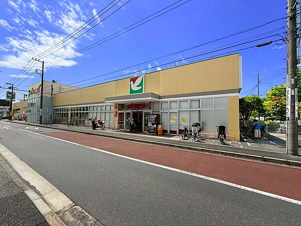 ヨークマート港北店(約800m・徒歩10分)