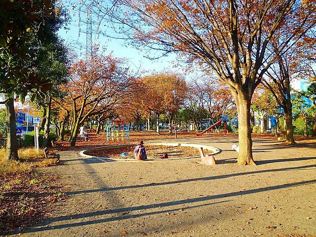 井田公園 (約260m)