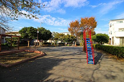 梶ヶ谷金山公園 1000m(13分)