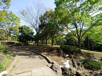 王禅寺ふるさと公園 2900m(37分)