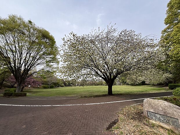 滝ヶ谷公園（約1,200m）