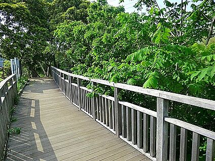 水沢の森・西公園 約1030m(12分～13分)
