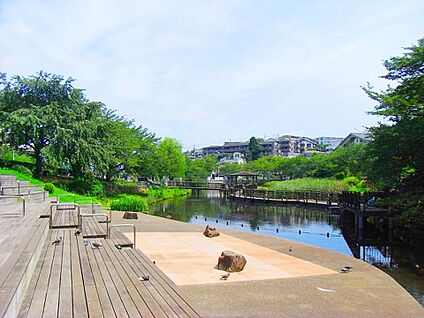 岸根公園 900m(12分)