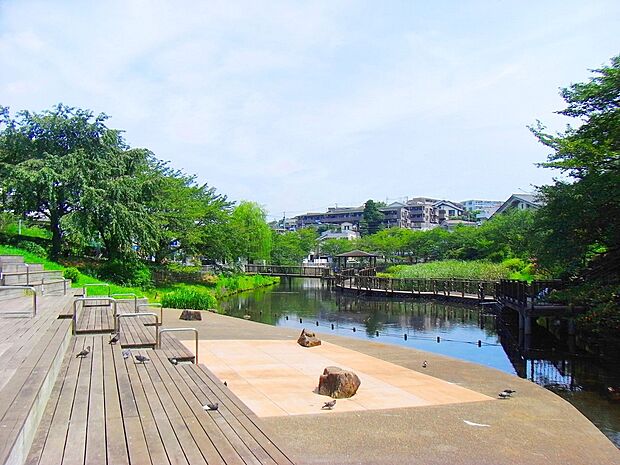 岸根公園 (約800m・徒歩10分)