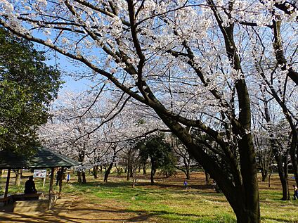 菅生緑地 1300m