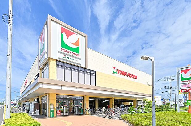 ヨークフーズ所沢花園店(約620m)
