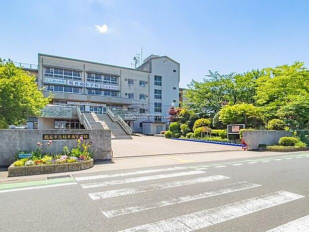 越谷市立桜井南小学校(約1,100m)