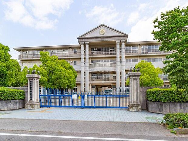 越谷市立花田小学校（約250m）