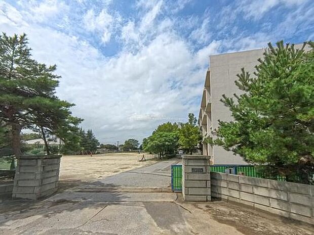 春日部市立武里小学校（約800m）