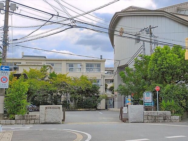 草加市立草加中学校(約370m)