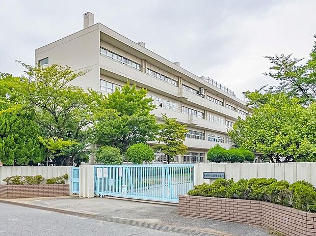 春日部市立藤塚小学校(約330m)