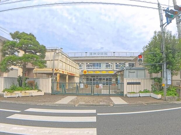 草加市立青柳小学校(約530m)