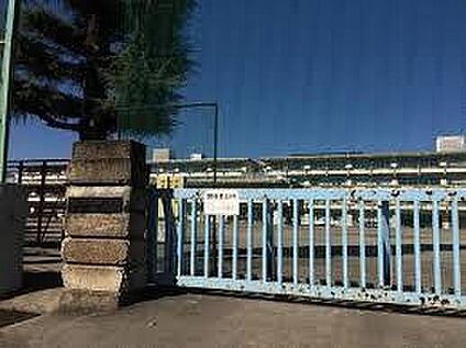 富岡市立富岡小学校 900ｍ(徒歩12分)