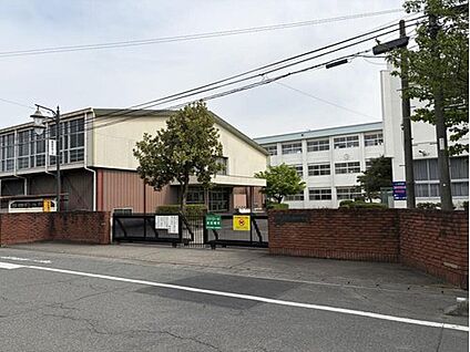 高崎市立倉賀野中学校 1000m(徒歩13分)