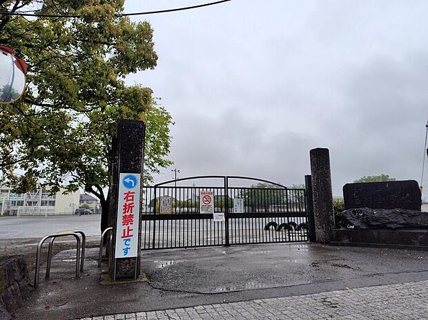 玉村町立玉村小学校（約550m）