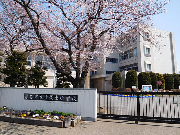 上柴中学校（約524m）