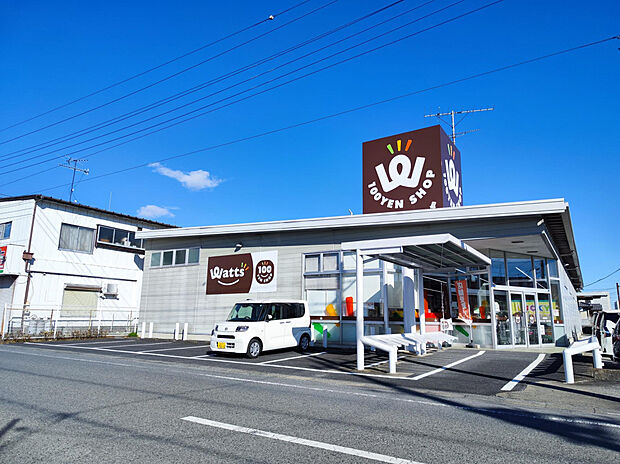 ワッツ行田店（約317m）