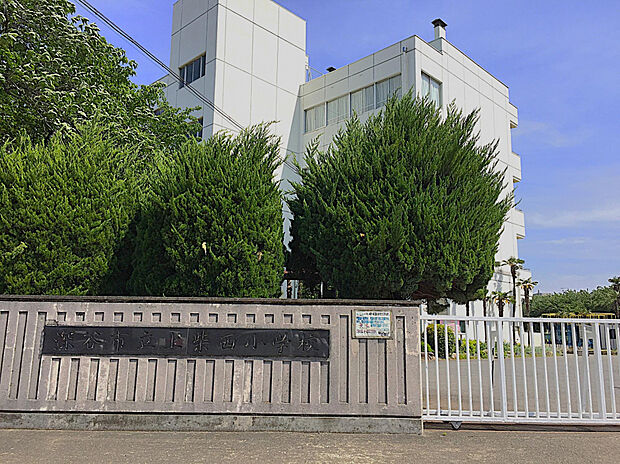 上柴西小学校(約800m)