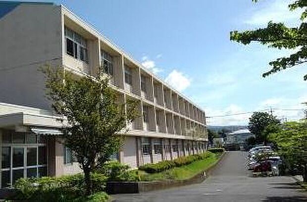 大富士中学校(約600m)