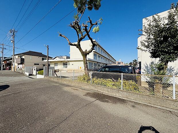 駒形小学校(約300m)