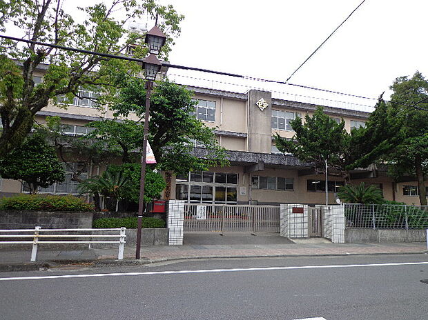 長田西小学校(約900m)