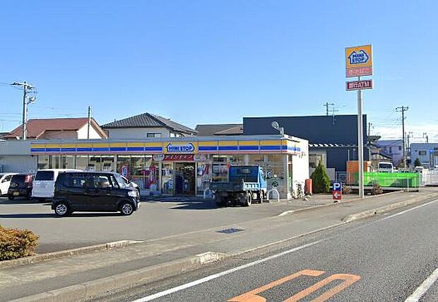 ミニストップ富士宮島店（約300m）