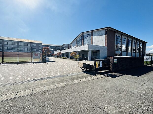 島田第一中学校(約800m)
