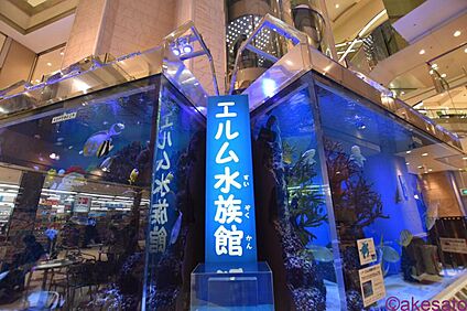 エルム水族館 450ｍ