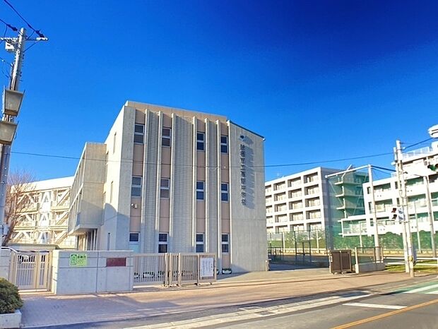 葛飾中学校（約600m）