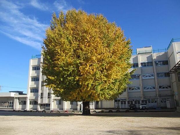 船橋市立塚田小学校(約1,100m)