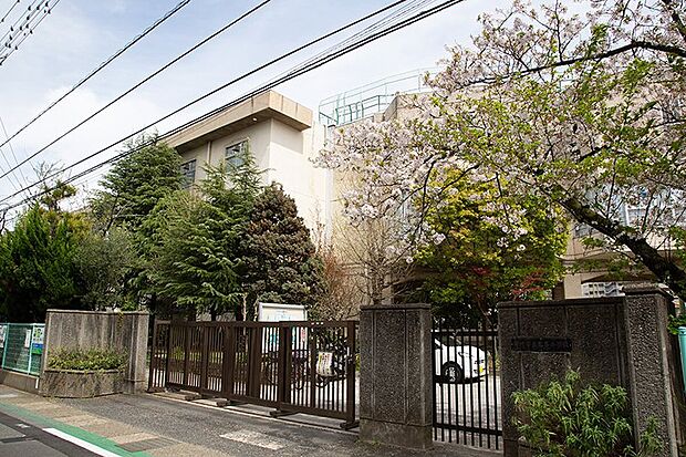 市川市立鬼高小学校(約1,000m)