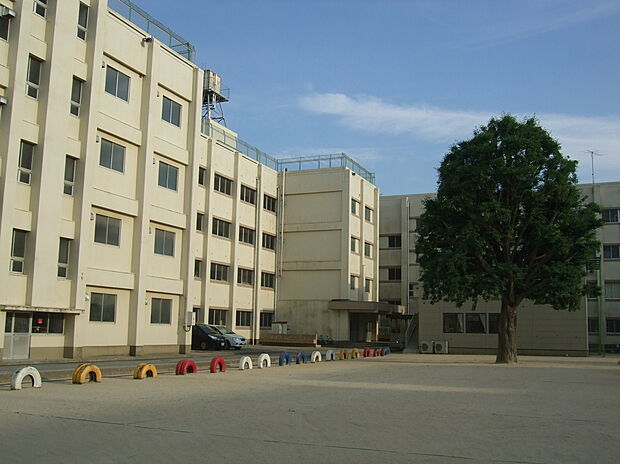 塚田小学校(約1,200m)