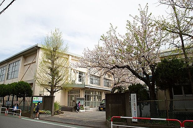 市川市立信篤小学校(約450m)