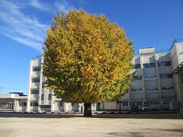 船橋市立塚田小学校（約2,200m）