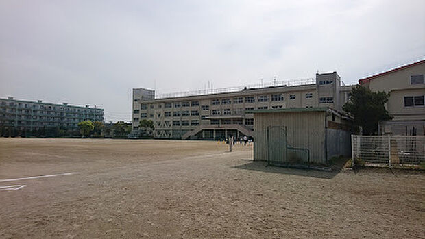 市川市立福栄中学校(約1,200m)