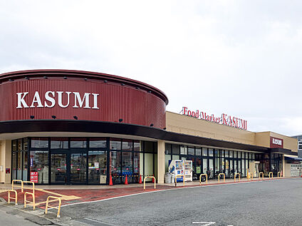 カスミ 平須店 約810m(徒歩11分)
