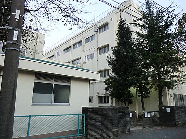 横浜市立常盤台小学校(約760m)