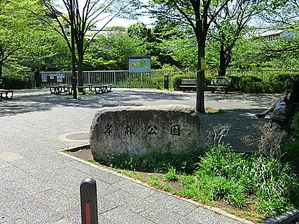岸根公園 800m(-)