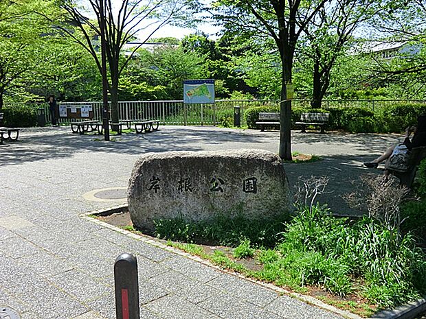 岸根公園(約800m)
