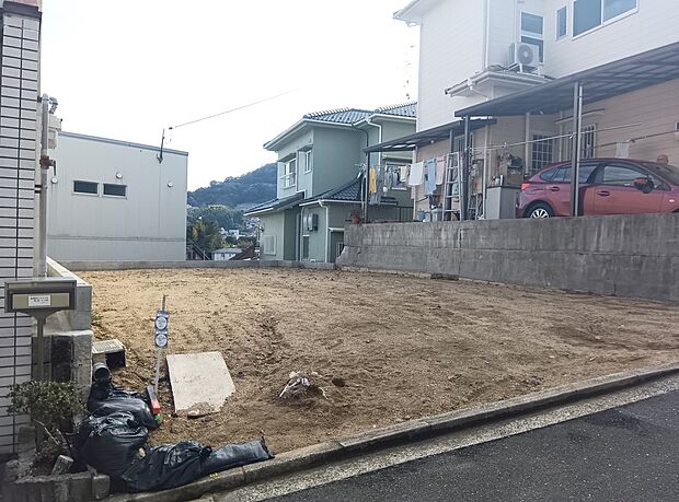 2026年1月撮影