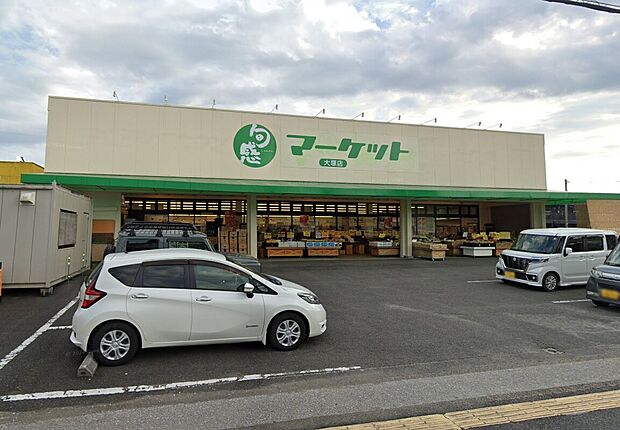 旬感マーケット 大塚店(約600m)