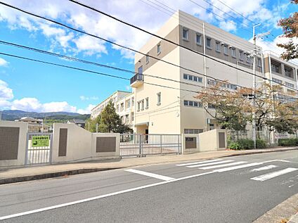 長岡中学校 約585ｍ(徒歩8分)