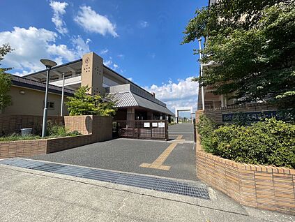 長岡京市立長岡第七小学校 約801ｍ(徒歩11分)