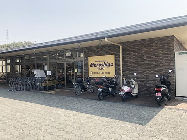 マルシゲ洛西福西店