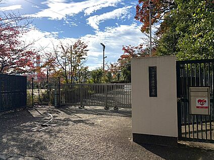 新林小学校 約850ｍ(徒歩11分)