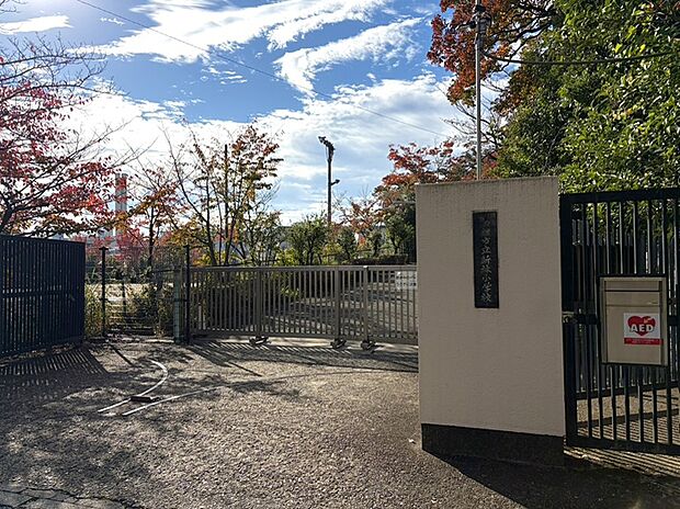 新林小学校