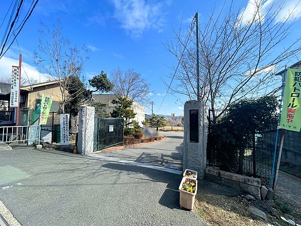 松陽小学校