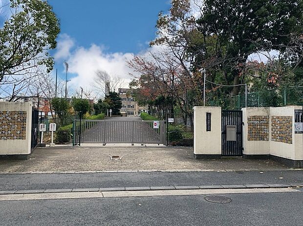 新林小学校