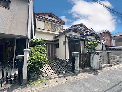 現地写真