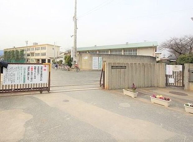 第3向陽小学校